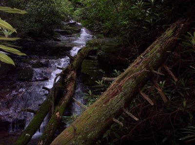 Mill Creek Falls
