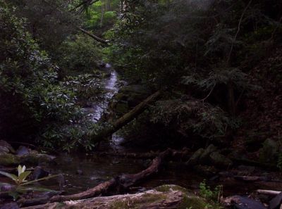 Mill Creek Falls
