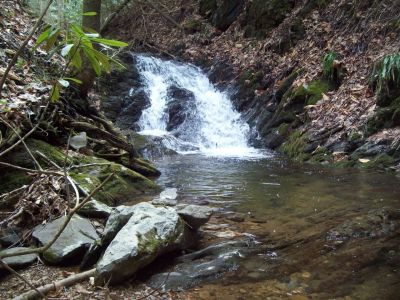 Longarm Branch 
smalls falls along Longarm Branch in between lower and upper falls
